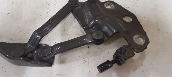 Volkswagen PASSAT B6 Engine bonnet/hood hinges 3C0823301