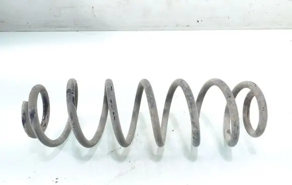 Rear coil spring
