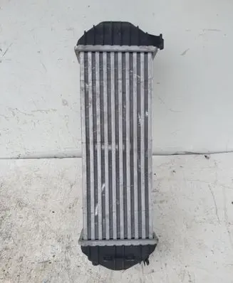 Mercedes-Benz Citan W415 Intercooler radiator 351319205510 MST551