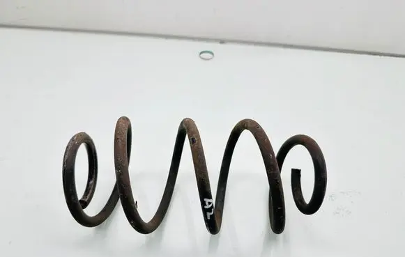 Rear coil spring