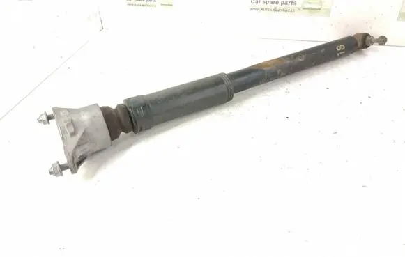 Mercedes-Benz B W246 W242 Rear shock absorber/damper 2463201831 A2463201831