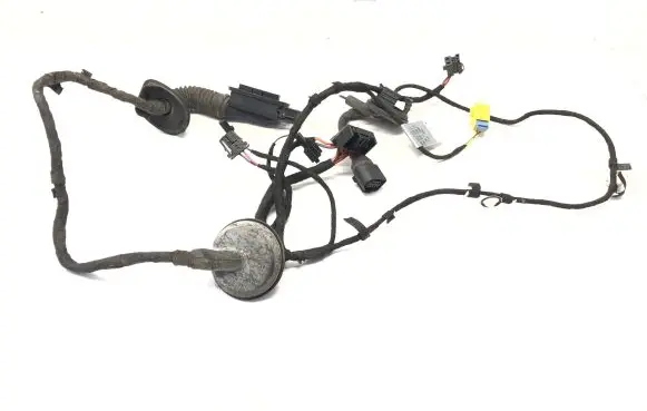 Front door wiring loom