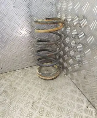 Rear coil spring