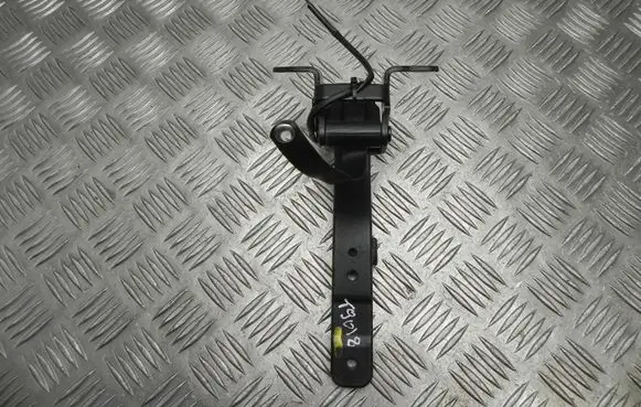 BMW i3 Tailgate/trunk/boot hinge 7296773 T9018