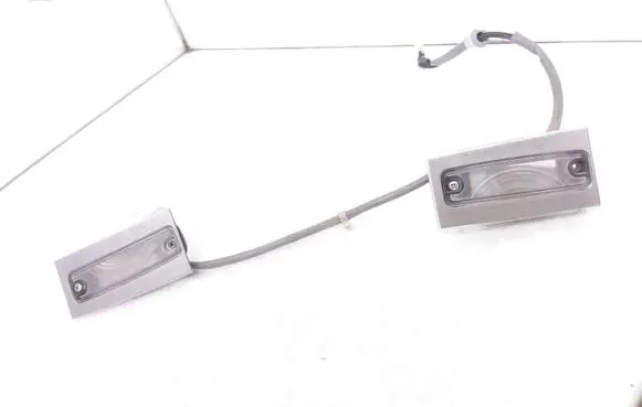 Number plate light