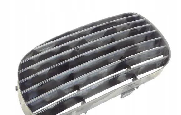 Porsche Cayenne (9PA) Front bumper lower grill 7L5807681A