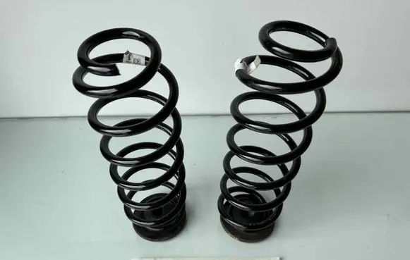 Rear coil spring