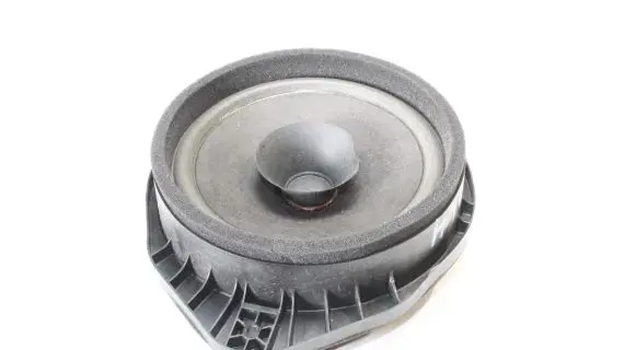 Opel Mokka Rear door speaker 22889823