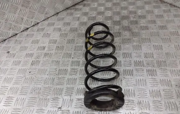 Hyundai i20 (PB PBT) Rear coil spring BRAK