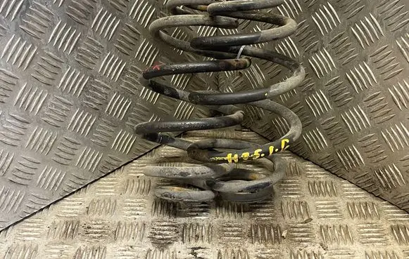 Rear coil spring