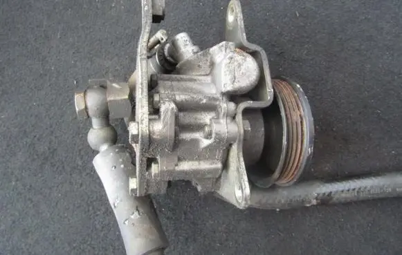 Nissan Micra Power steering pump 491105f600 7691974424