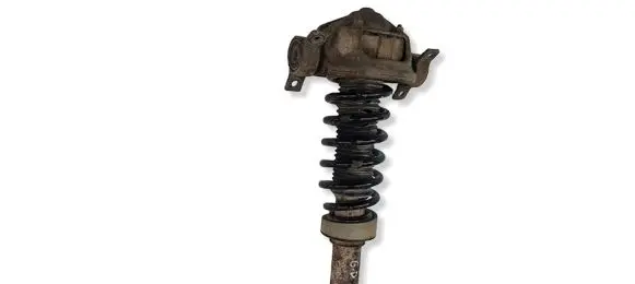 Land Rover Range Rover Sport L320 Rear shock absorber with coil spring 804900558286
