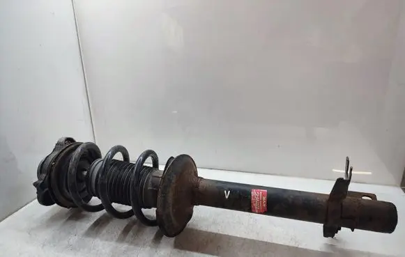Fiat Ducato Front shock absorber with coil spring