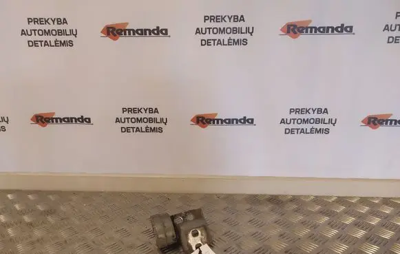 Renault Megane II Front door lower hinge 