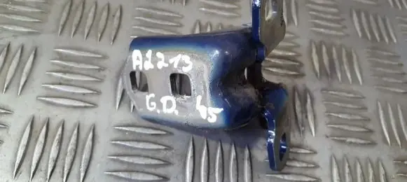 Renault Megane II Rear door lower hinge 029139F