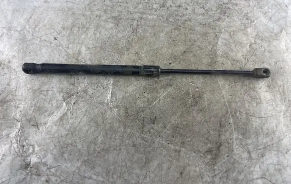Opel Astra H Tailgate/trunk strut/damper 24463829