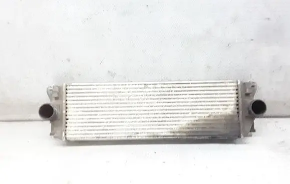 Mercedes-Benz Sprinter W906 Intercooler radiator A9065010101