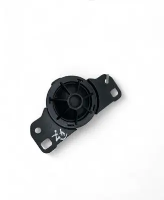 Panel speaker