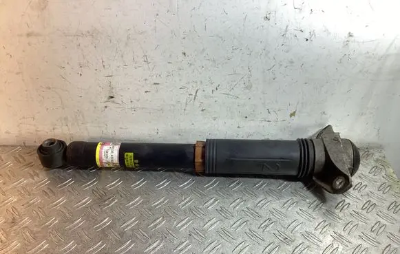 Toyota RAV 4 (XA50) Rear shock absorber/damper 4853042130