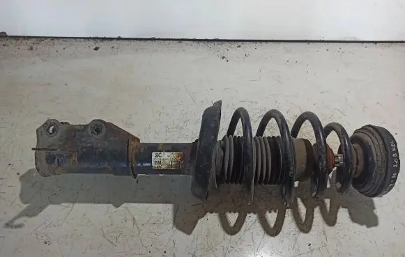 Opel Insignia A Front shock absorber with coil spring 13245967 E461260 367327926
