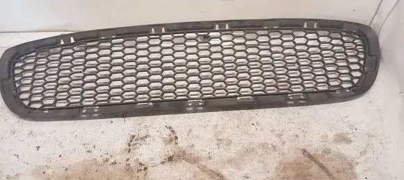 BMW 5 F10 F11 Front bumper lower grill 19017411