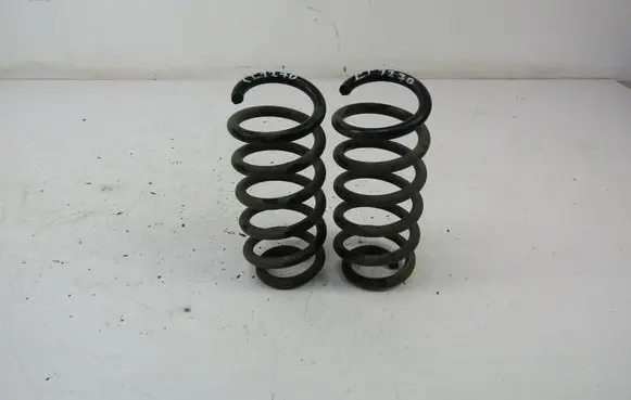 Renault Clio I Rear coil spring 