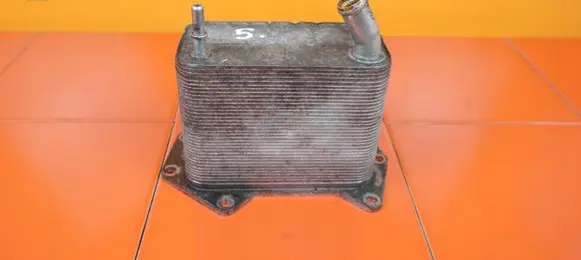Land Rover Range Rover L322 Engine oil radiator 19XZ4