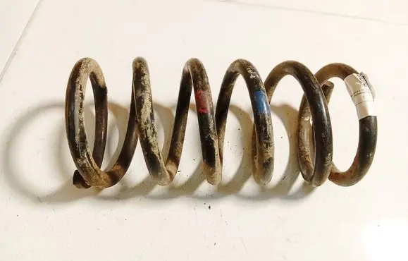 Hyundai Santa Fe Rear coil spring 