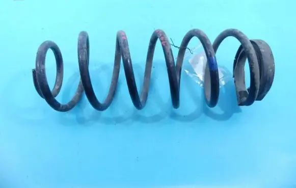 Rear coil spring