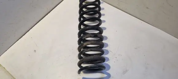 Ford Focus Rear coil spring