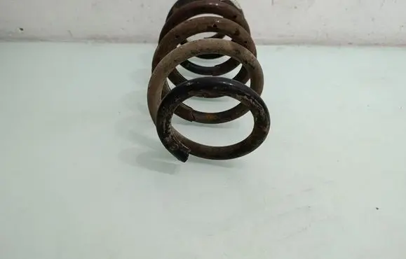Toyota RAV 4 (XA30) Rear coil spring