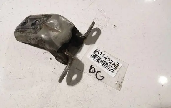 Nissan Qashqai Rear door lower hinge