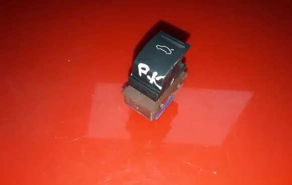 Volkswagen PASSAT B7 Tailgate opening switch 3AA959831 258102S