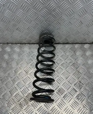Volkswagen Tiguan Rear coil spring 5qs511103m