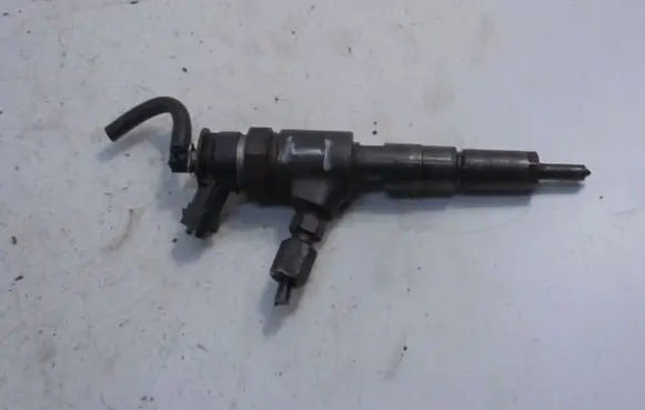 Peugeot 206 CC Fuel injector 0445110135