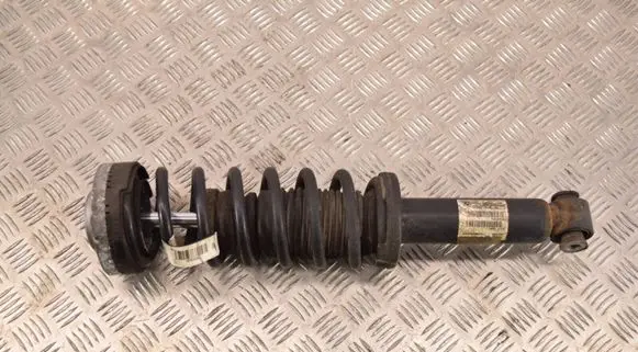 BMW X3 F25 Rear shock absorber with coil spring 6796317