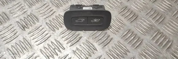 Tailgate opening switch