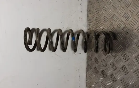 Ford Kuga II Rear coil spring