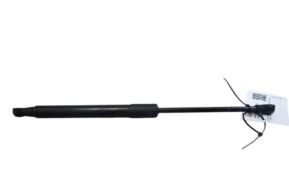 Tailgate/trunk strut/damper