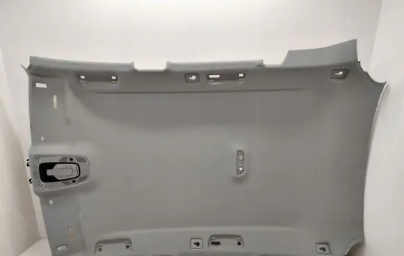 Audi Q5 SQ5 Headlining set 80A867506