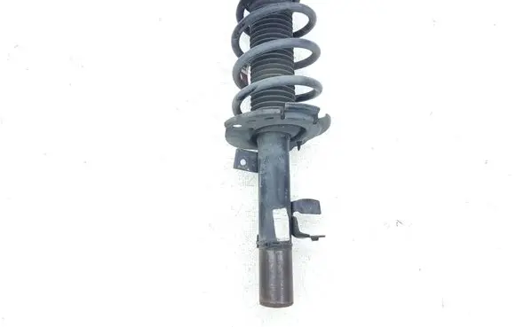 Ford C-MAX II Front shock absorber/damper DV615310 DV615310PHE E29EJ