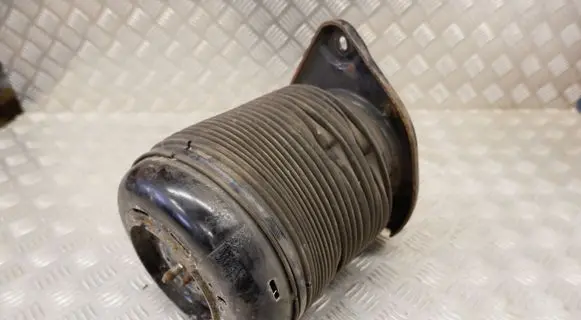 Lexus RX III Rear air suspension bag/shock absorber 4809048090