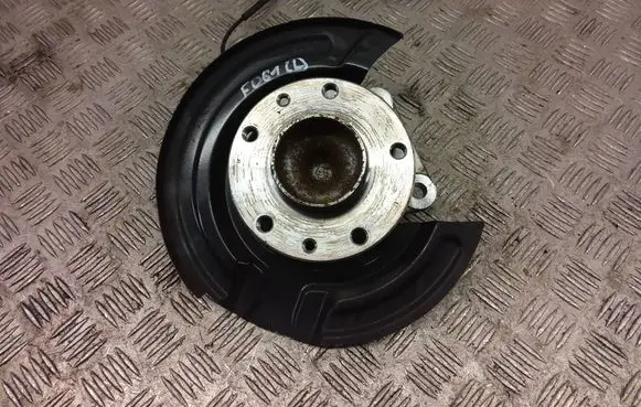 Renault Zoe Rear wheel hub 441653570R