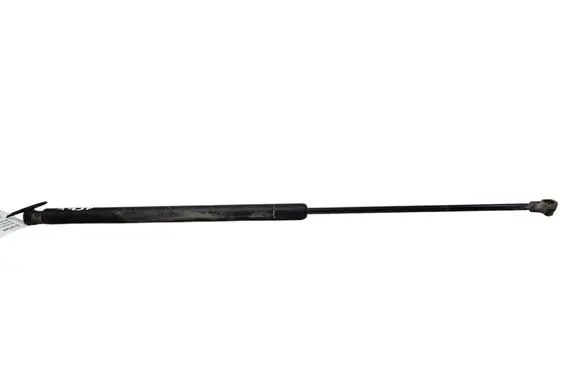 Renault Koleos I Tailgate/trunk strut/damper 904513981R