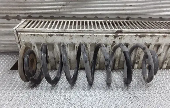 Volkswagen PASSAT B6 Rear coil spring