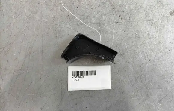 Other rear door trim element