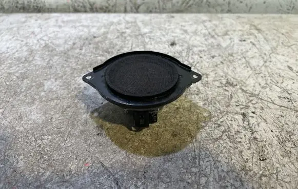 Panel speaker