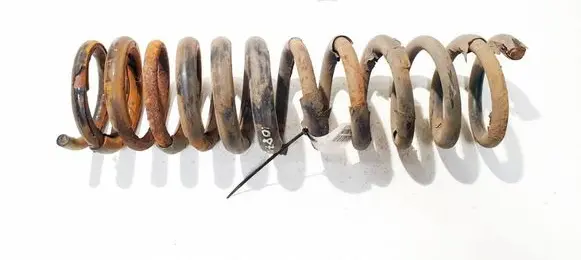 Ford Focus Rear coil spring