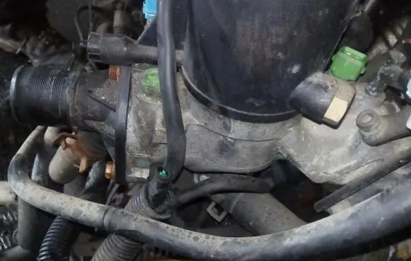 Citroen Berlingo Engine coolant pipe/hose