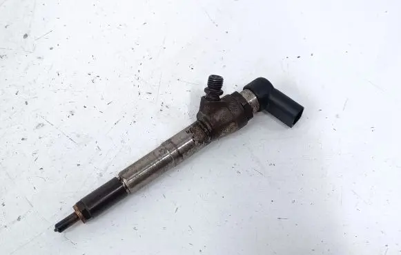 Nissan Juke I F15 Fuel injector H8201100113 166006212R